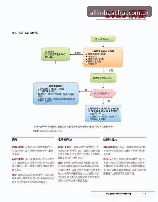 世界杯观赛决策实用指南：法伊之战为何值得全程复盘？